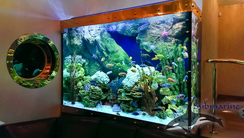 Оформлениев аквариума Кезьмино псевдо морской аквариум в Москве