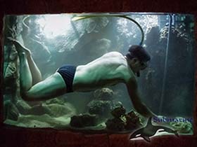 Уход больших аквариумов в Москве